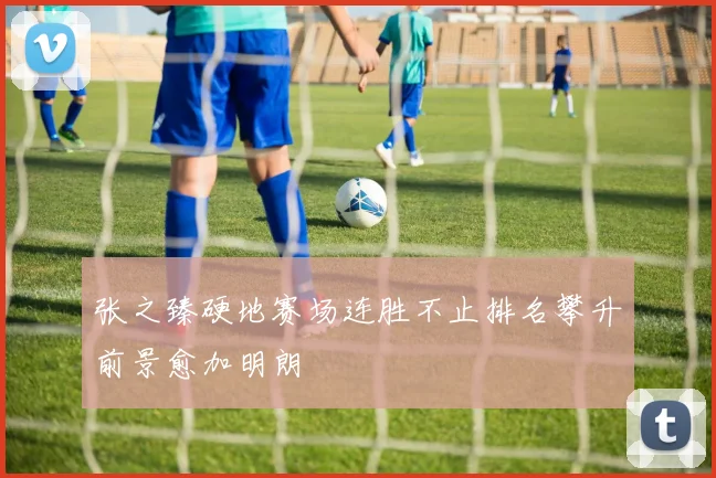 张之臻硬地赛场连胜不止排名攀升前景愈加明朗