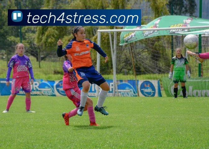 多媒体互动体验
